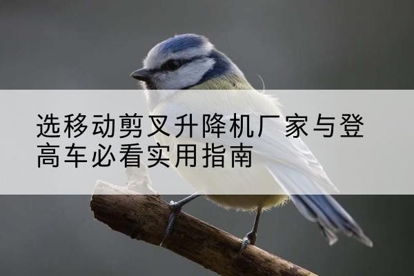 永清电动升降机厂家-选移动剪叉升降机厂家与登高车必看实用指南