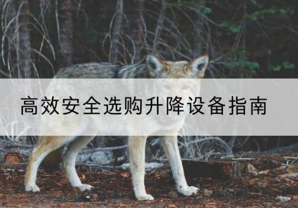 永清升降货梯厂家推荐-*安全选购升降设备指南